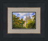 Salt Lake City Temple Autumn Leaves