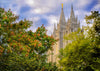 Salt Lake City Temple Autumn Leaves