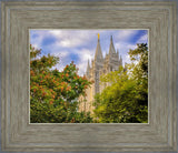 Salt Lake City Temple Autumn Leaves