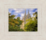 Salt Lake City Temple Autumn Leaves