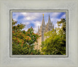 Salt Lake City Temple Autumn Leaves