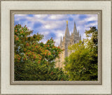 Salt Lake City Temple Autumn Leaves