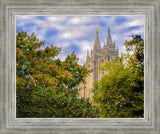 Salt Lake City Temple Autumn Leaves