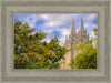 Salt Lake City Temple Autumn Leaves