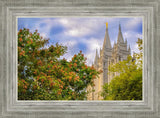 Salt Lake City Temple Autumn Leaves