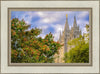 Salt Lake City Temple Autumn Leaves