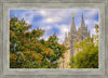 Salt Lake City Temple Autumn Leaves