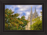 Salt Lake City Temple Autumn Leaves