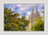 Salt Lake City Temple Autumn Leaves