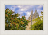 Salt Lake City Temple Autumn Leaves