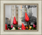 Salt Lake City Temple Beginning Transformation