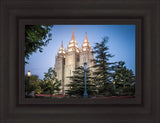 Salt Lake City Temple Early Morning Blessings