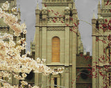 Salt Lake City Temple The Promise Sepia