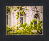 Salt Lake City Temple Windows Of Eternity