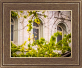 Salt Lake City Temple Windows Of Eternity