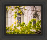 Salt Lake City Temple Windows Of Eternity