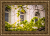 Salt Lake City Temple Windows Of Eternity