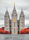 Salt Lake City Temple Autumn's Glory