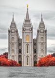 Salt Lake City Temple Autumn's Glory