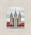 Salt Lake City Temple Autumn's Glory