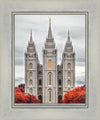 Salt Lake City Temple Autumn's Glory