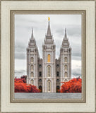 Salt Lake City Temple Autumn's Glory