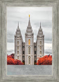 Salt Lake City Temple Autumn's Glory