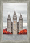 Salt Lake City Temple Autumn's Glory