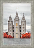 Salt Lake City Temple Autumn's Glory