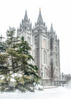 Salt Lake City Temple Evergreen Christmas