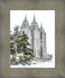 Salt Lake City Temple Evergreen Christmas