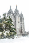 Salt Lake City Temple Evergreen Christmas