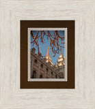 Salt Lake City Temple He Giveth Light