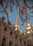 Salt Lake City Temple He Giveth Light