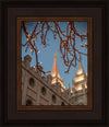 Salt Lake City Temple He Giveth Light