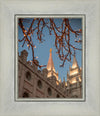 Salt Lake City Temple He Giveth Light