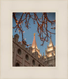 Salt Lake City Temple He Giveth Light