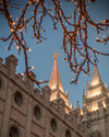 Salt Lake City Temple He Giveth Light