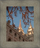 Salt Lake City Temple He Giveth Light