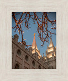 Salt Lake City Temple He Giveth Light