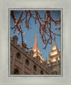 Salt Lake City Temple He Giveth Light