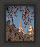 Salt Lake City Temple He Giveth Light