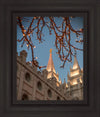 Salt Lake City Temple He Giveth Light