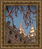 Salt Lake City Temple He Giveth Light