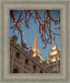 Salt Lake City Temple He Giveth Light