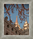 Salt Lake City Temple He Giveth Light