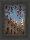 Salt Lake City Temple He Giveth Light