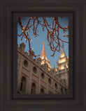 Salt Lake City Temple He Giveth Light