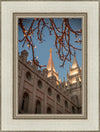 Salt Lake City Temple He Giveth Light