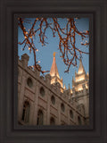 Salt Lake City Temple He Giveth Light